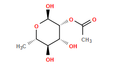 CC(=O)O[C@@H]1[C@H](O)[C@@H](O)[C@H](C)O[C@H]1O
