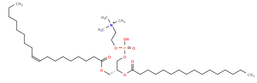 CCCCCCCC/C=C\CCCCCCCC(=O)OC[C@H](COP(=O)(O)OCC[N+](C)(C)C)OC(=O)CCCCCCCCCCCCCCC