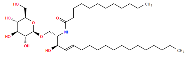 CCCCCCCCCCCCC/C=C/[C@@H](O)[C@H](CO[C@@H]1O[C@H](CO)[C@@H](O)[C@H](O)[C@H]1O)NC(=O)CCCCCCCCCCC