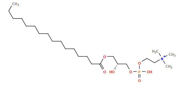 CCCCCCCCCCCCCCCC(=O)OC[C@@H](O)COP(=O)(O)OCC[N+](C)(C)C