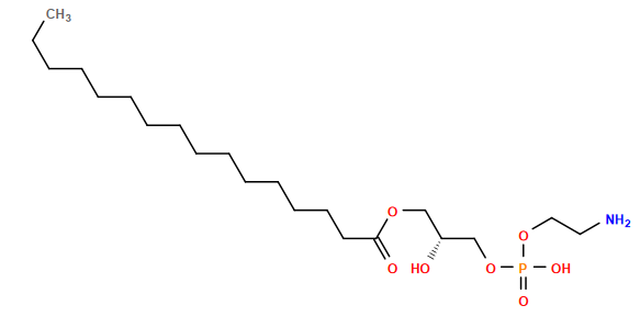 CCCCCCCCCCCCCCCC(=O)OC[C@@H](O)COP(=O)(O)OCCN