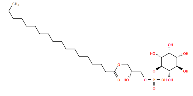 CCCCCCCCCCCCCCCCCC(=O)OC[C@@H](O)COP(=O)(O)O[C@H]1[C@H](O)[C@H](O)[C@H](O)[C@@H](O)[C@@H]1O