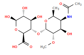 CO[C@@H]1[C@H](O[C@H]2[C@H](O)[C@@H](O)[C@H](O)O[C@@H]2C(=O)O)O[C@@H](C)[C@@H](NC(C)=O)[C@H]1O