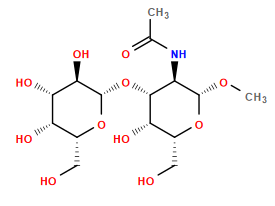 CO[C@@H]1O[C@H](CO)[C@H](O)[C@H](O[C@@H]2O[C@H](CO)[C@H](O)[C@H](O)[C@H]2O)[C@H]1NC(C)=O