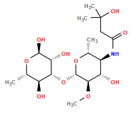 CO[C@H]1[C@H](O[C@@H]2[C@@H](O)[C@H](C)O[C@@H](O)[C@@H]2O)O[C@H](C)[C@@H](NC(=O)CC(C)(C)O)[C@@H]1O