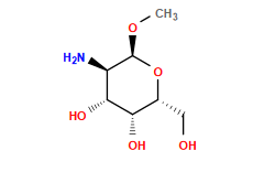 CO[C@H]1O[C@H](CO)[C@H](O)[C@H](O)[C@H]1N