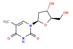 Cc1cn([C@H]2C[C@H](O)[C@@H](CO)O2)c(=O)[nH]c1=O