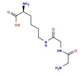 NCC(=O)NCC(=O)NCCCC[C@H](N)C(=O)O