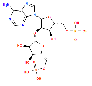 Nc1ncnc2c1ncn2[C@@H]1O[C@H](COP(=O)(O)O)[C@@H](O)[C@H]1O[C@@H]1O[C@H](COP(=O)(O)O)[C@@H](O)[C@H]1O