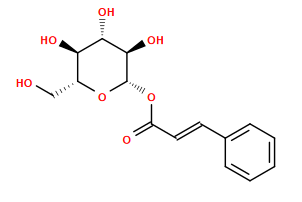 O=C(/C=C/c1ccccc1)O[C@@H]1O[C@H](CO)[C@@H](O)[C@H](O)[C@H]1O
