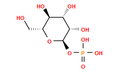 O=P(O)(O)O[C@H]1O[C@H](CO)[C@@H](O)[C@H](O)[C@@H]1O