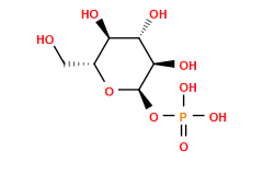 O=P(O)(O)O[C@H]1O[C@H](CO)[C@@H](O)[C@H](O)[C@H]1O