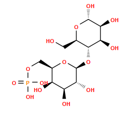 O=P(O)(O)OC[C@H]1O[C@@H](O[C@H]2[C@H](O)[C@H](O)[C@@H](O)O[C@@H]2CO)[C@H](O)[C@@H](O)[C@H]1O