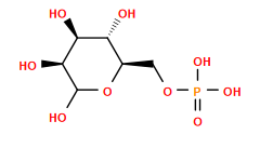 O=P(O)(O)OC[C@H]1OC(O)[C@@H](O)[C@@H](O)[C@@H]1O