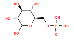 O=P(O)(O)OC[C@H]1OC(O)[C@H](O)[C@@H](O)[C@@H]1O