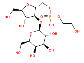O=P(O)(OCCO)OC[C@H]1O[C@H](CO)[C@@H](O)[C@@H]1O[C@@H]1O[C@H](CO)[C@H](O)[C@H](O)[C@H]1O