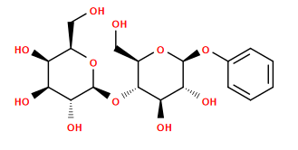 OC[C@H]1O[C@@H](O[C@H]2[C@H](O)[C@@H](O)[C@H](Oc3ccccc3)O[C@@H]2CO)[C@H](O)[C@@H](O)[C@H]1O