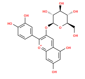 OC[C@H]1O[C@@H](Oc2cc3c(O)cc(O)cc3[o+]c2-c2ccc(O)c(O)c2)[C@H](O)[C@@H](O)[C@@H]1O